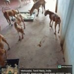 WhatsApp Image 2025-03-20 at 12.05.36 PM (1)